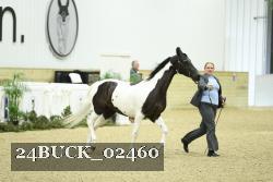 24BUCK_02460 proof
