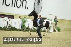 24BUCK_02462 proof