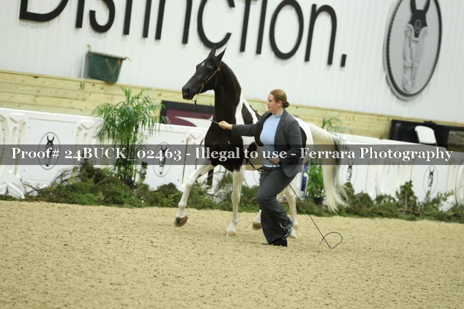 Proof 24BUCK_02463