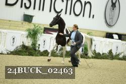 24BUCK_02463 proof