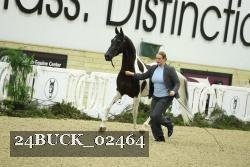 24BUCK_02464 proof