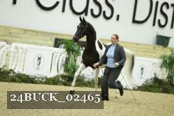 24BUCK_02465 proof