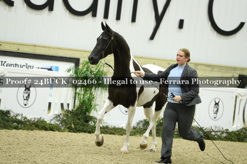 Proof 24BUCK_02466