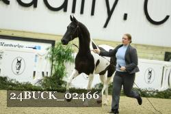 24BUCK_02466 proof