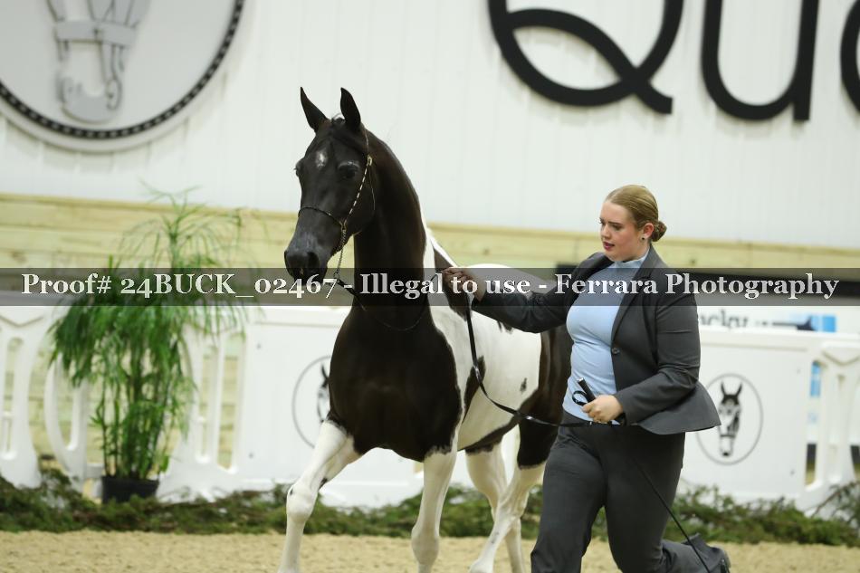 Proof 24BUCK_02467