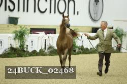 24BUCK_02468 proof