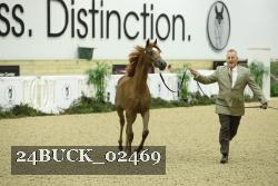24BUCK_02469 proof