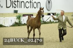 24BUCK_02470 proof