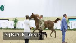 24BUCK_02471 proof