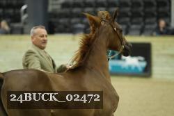 24BUCK_02472 proof