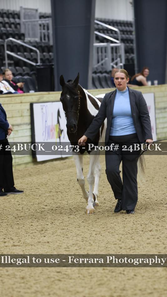 Proof 24BUCK_02473
