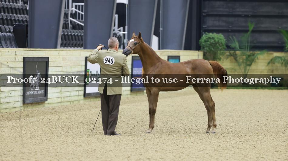 Proof 24BUCK_02474