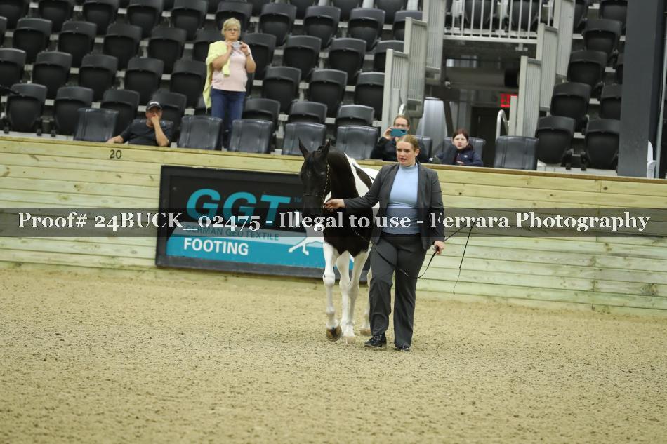 Proof 24BUCK_02475