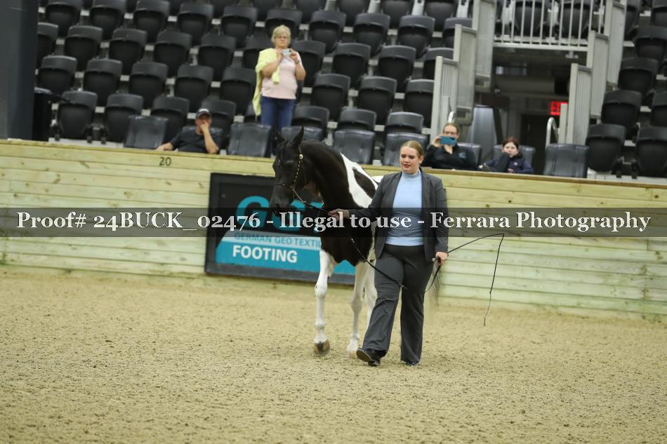Proof 24BUCK_02476