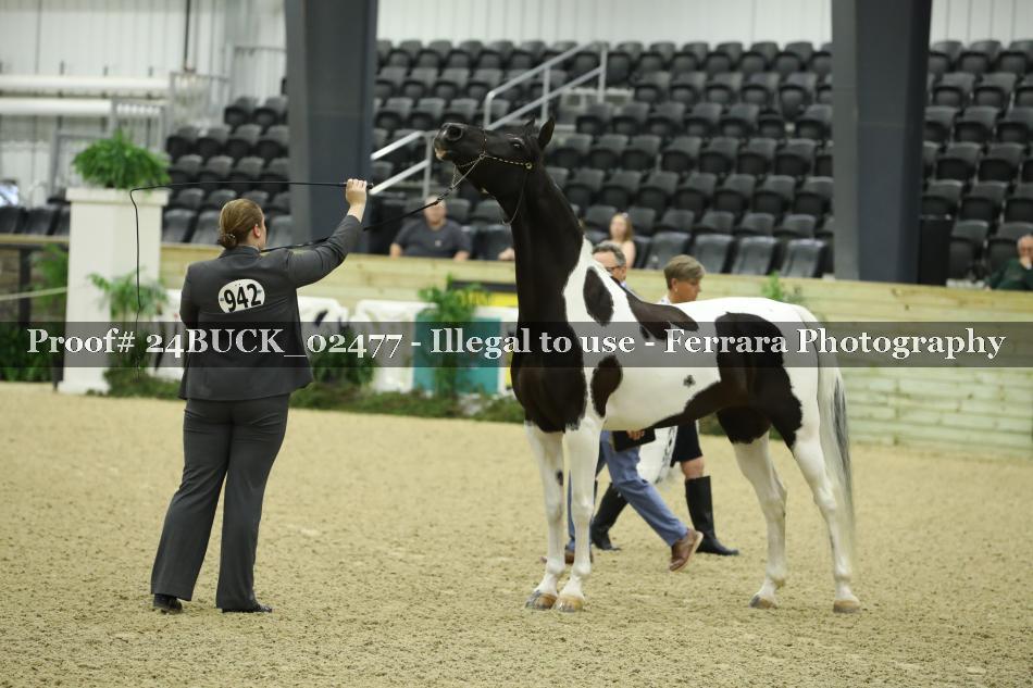 Proof 24BUCK_02477