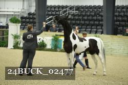 24BUCK_02477 proof