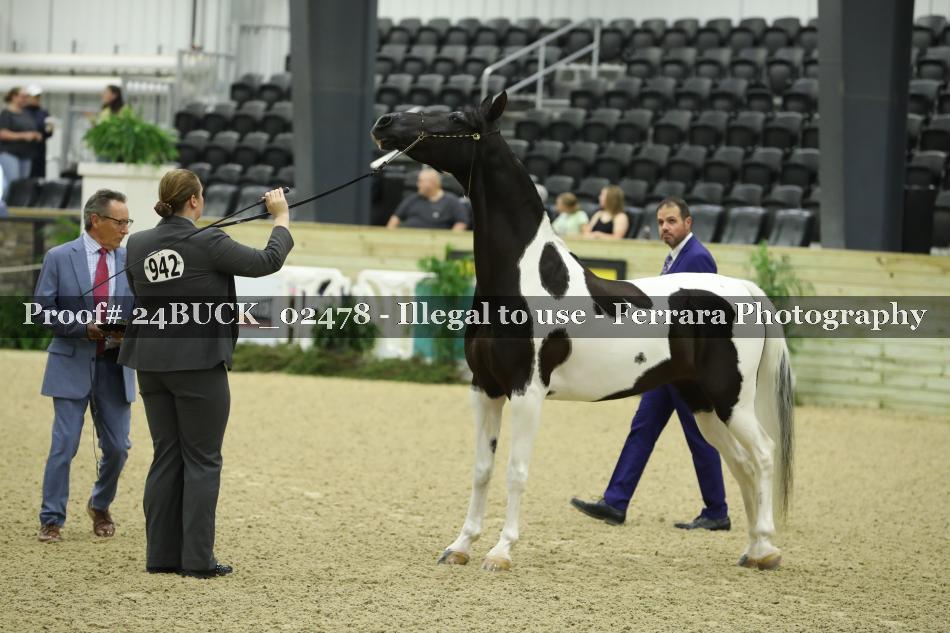 Proof 24BUCK_02478