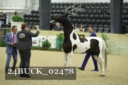 24BUCK_02478 proof
