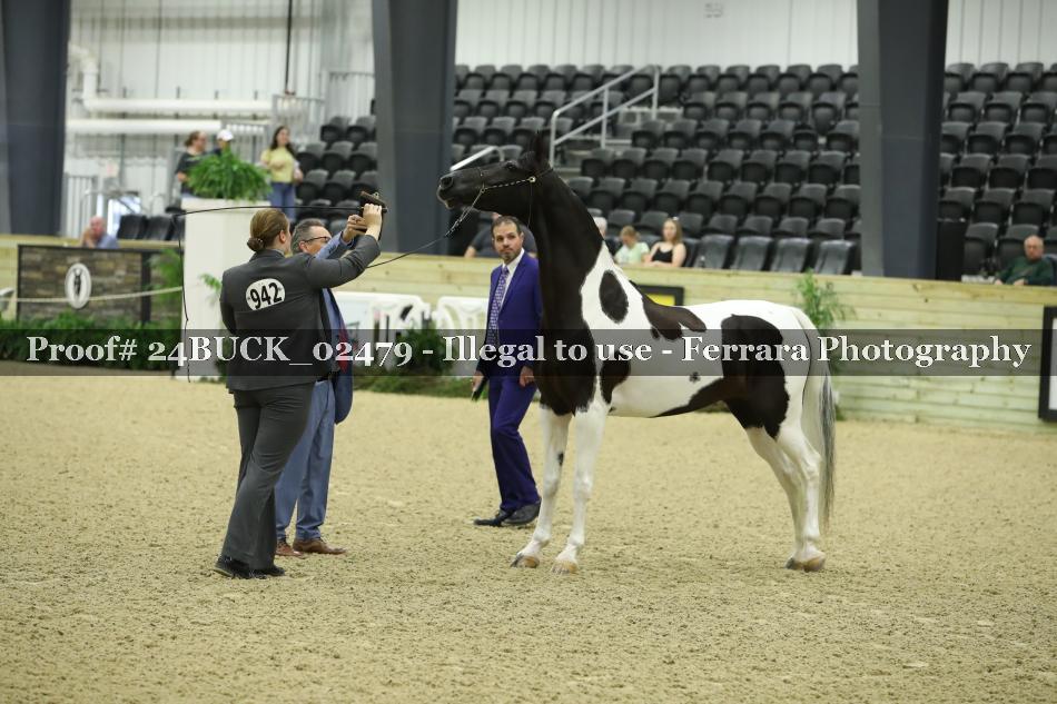 Proof 24BUCK_02479