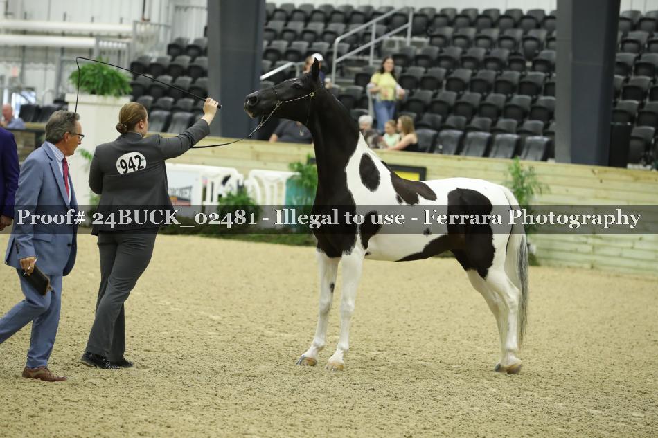 Proof 24BUCK_02481