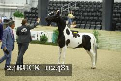 24BUCK_02481 proof
