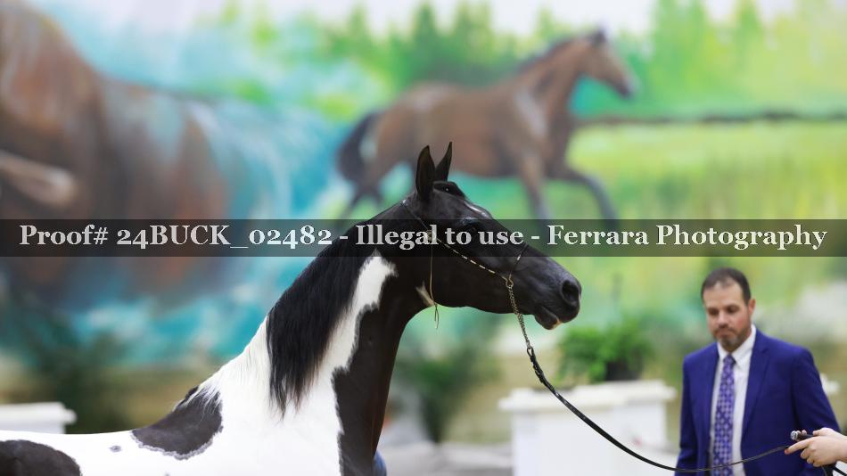 Proof 24BUCK_02482