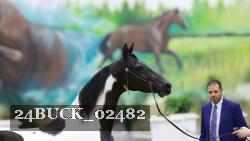 24BUCK_02482 proof