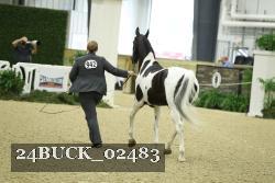 24BUCK_02483 proof