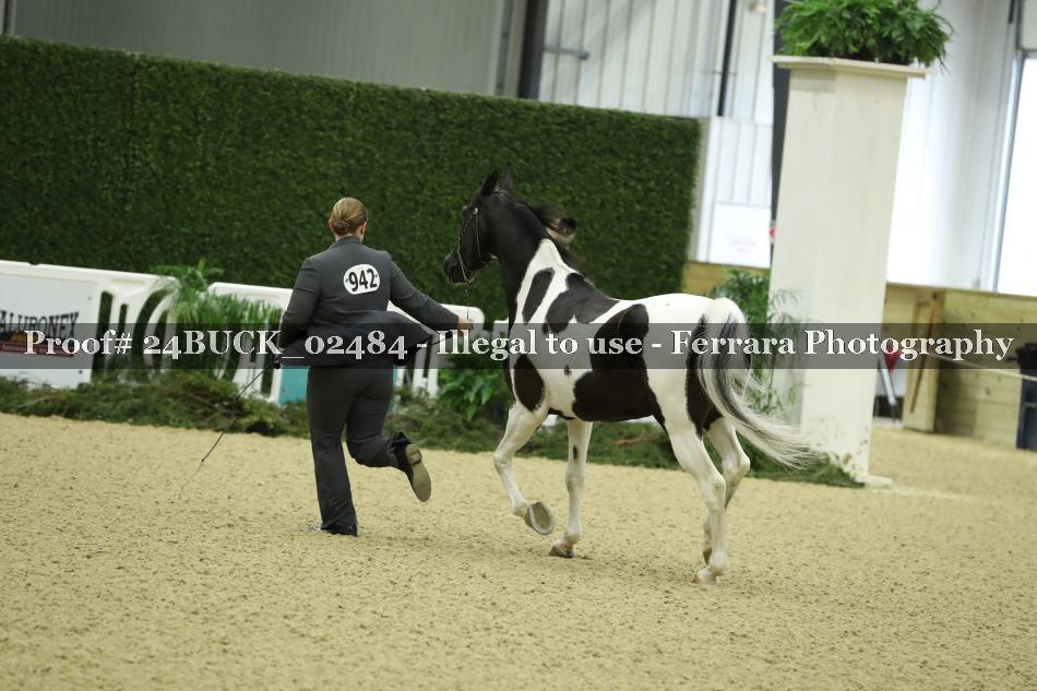 Proof 24BUCK_02484