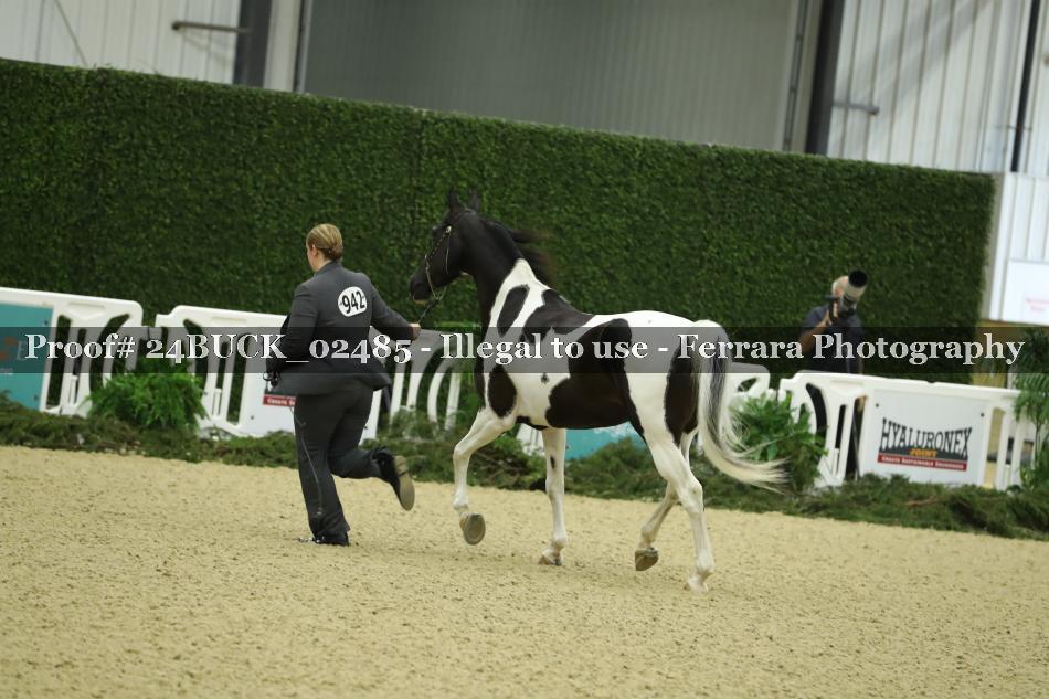 Proof 24BUCK_02485