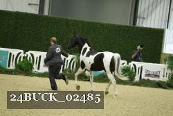 24BUCK_02485 proof