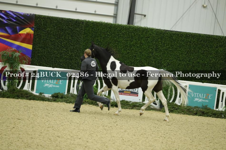 Proof 24BUCK_02486