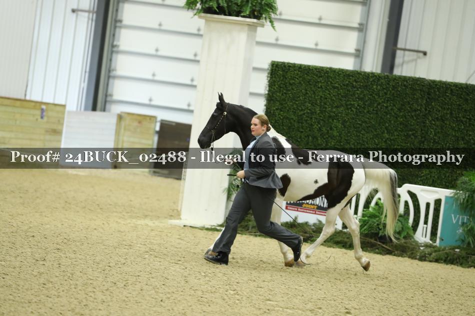 Proof 24BUCK_02488