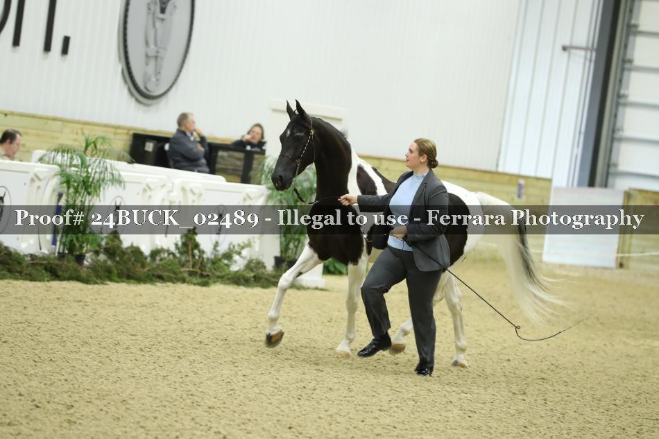 Proof 24BUCK_02489