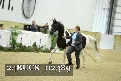 24BUCK_02489 proof