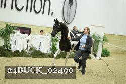 24BUCK_02490 proof