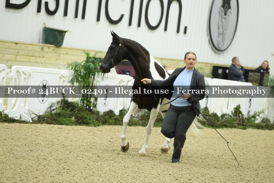 Proof 24BUCK_02491