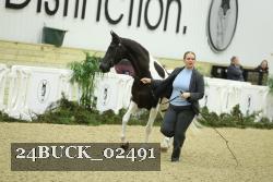 24BUCK_02491 proof