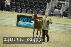 24BUCK_02493 proof