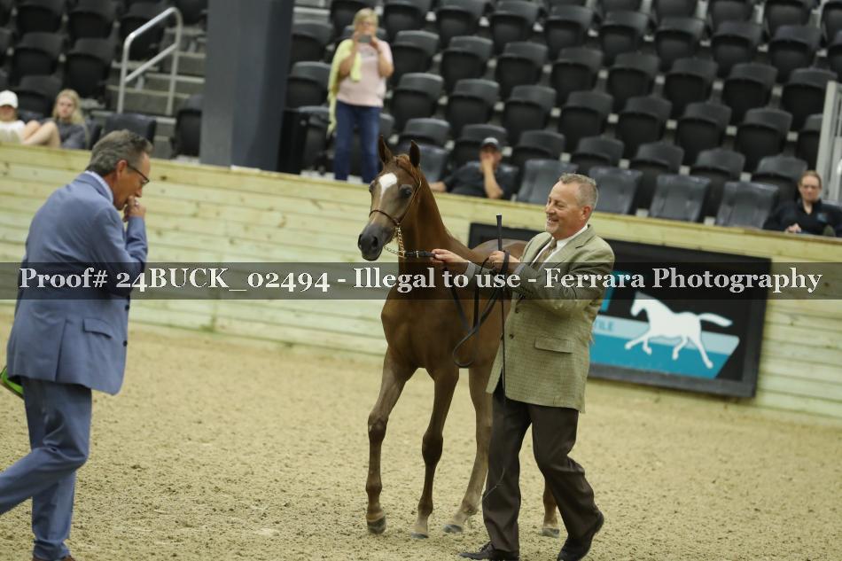 Proof 24BUCK_02494
