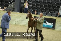 24BUCK_02494 proof