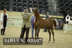 24BUCK_02497 proof