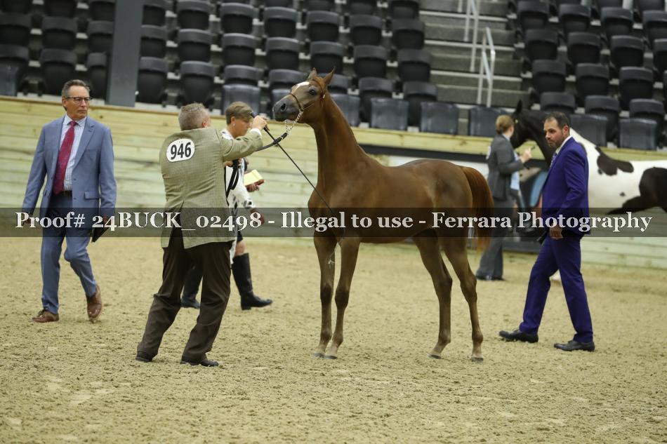 Proof 24BUCK_02498