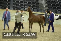 24BUCK_02498 proof