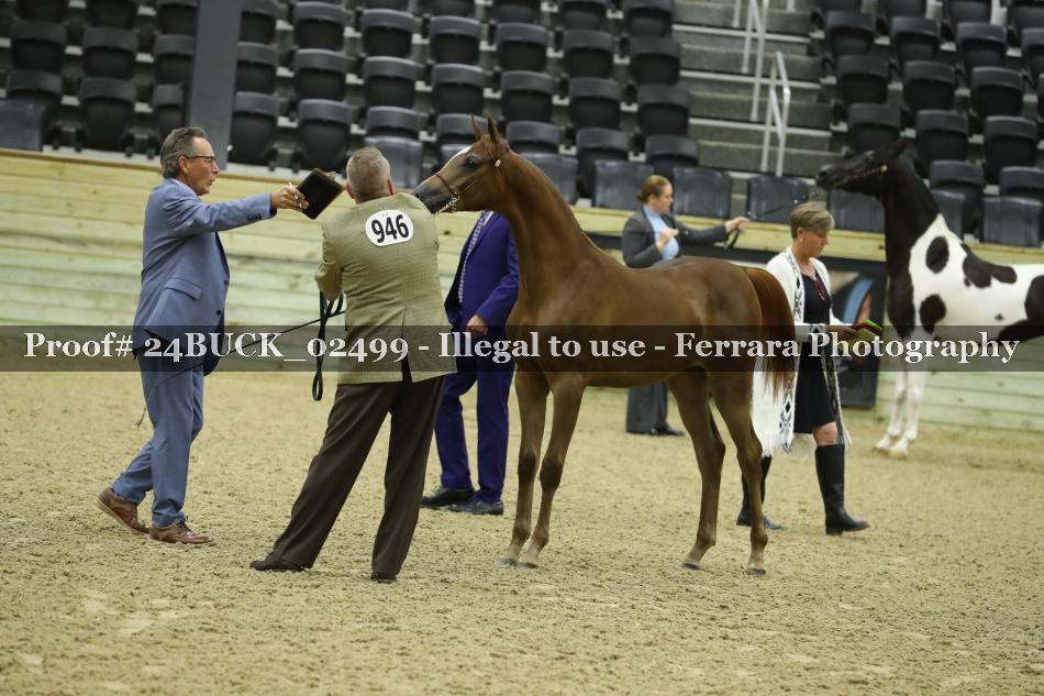 Proof 24BUCK_02499