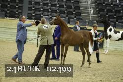 24BUCK_02499 proof