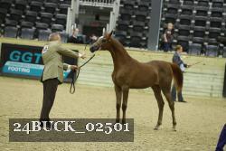 24BUCK_02501 proof