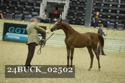 24BUCK_02502 proof