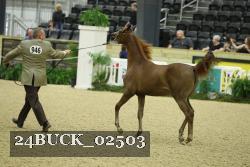 24BUCK_02503 proof