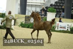 24BUCK_02504 proof